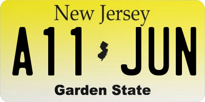 NJ license plate A11JUN