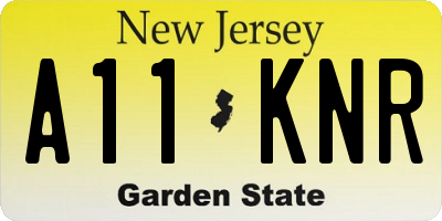 NJ license plate A11KNR