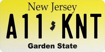NJ license plate A11KNT