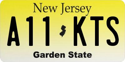NJ license plate A11KTS