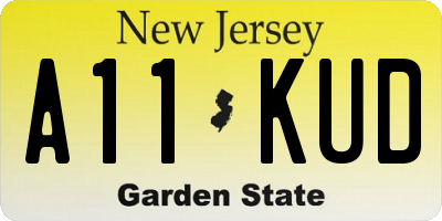 NJ license plate A11KUD