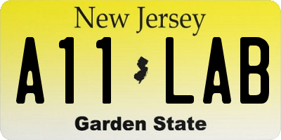 NJ license plate A11LAB