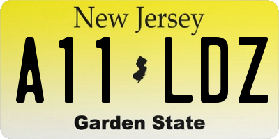 NJ license plate A11LDZ