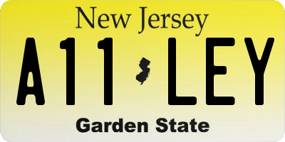 NJ license plate A11LEY