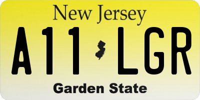NJ license plate A11LGR