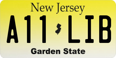 NJ license plate A11LIB