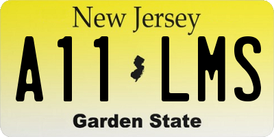 NJ license plate A11LMS