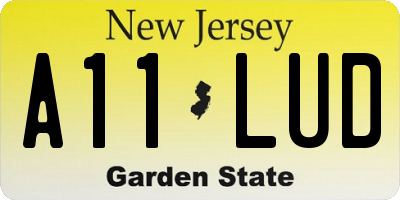 NJ license plate A11LUD