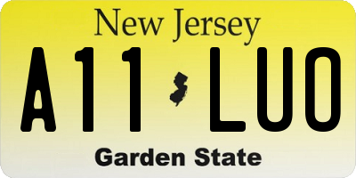 NJ license plate A11LUO
