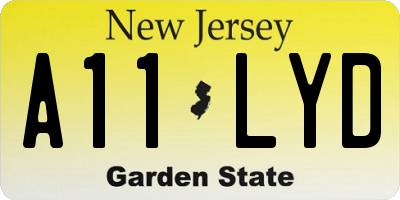 NJ license plate A11LYD