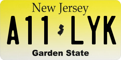 NJ license plate A11LYK