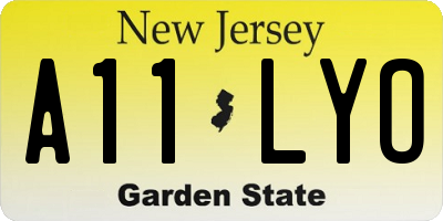 NJ license plate A11LYO