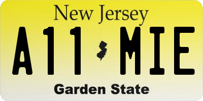 NJ license plate A11MIE