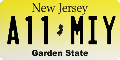 NJ license plate A11MIY