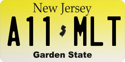 NJ license plate A11MLT