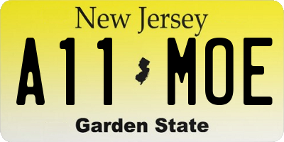 NJ license plate A11MOE