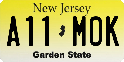 NJ license plate A11MOK
