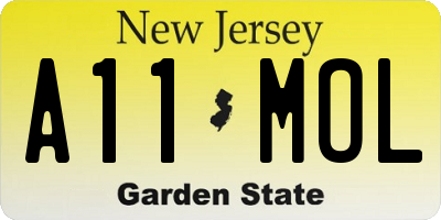 NJ license plate A11MOL