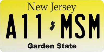 NJ license plate A11MSM