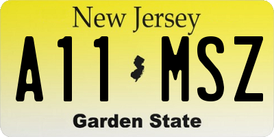 NJ license plate A11MSZ