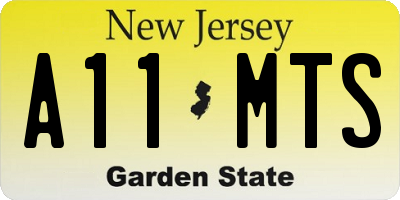 NJ license plate A11MTS