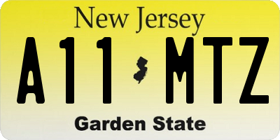 NJ license plate A11MTZ