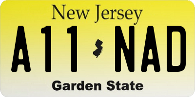 NJ license plate A11NAD