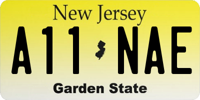 NJ license plate A11NAE