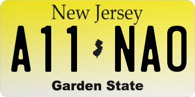 NJ license plate A11NAO