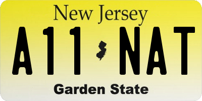 NJ license plate A11NAT