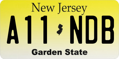 NJ license plate A11NDB