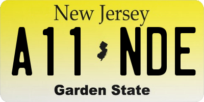 NJ license plate A11NDE