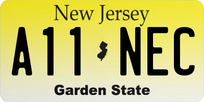 NJ license plate A11NEC