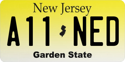 NJ license plate A11NED