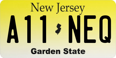 NJ license plate A11NEQ