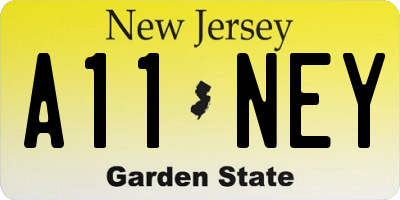 NJ license plate A11NEY