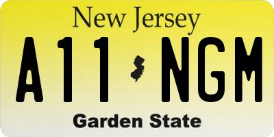 NJ license plate A11NGM