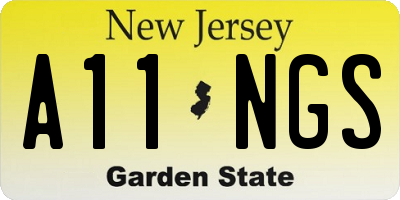 NJ license plate A11NGS