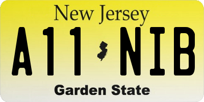 NJ license plate A11NIB