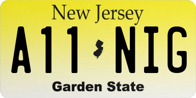 NJ license plate A11NIG