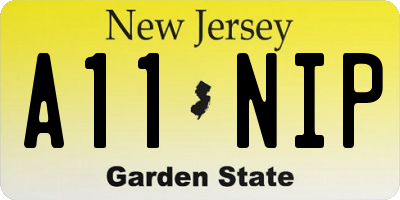 NJ license plate A11NIP