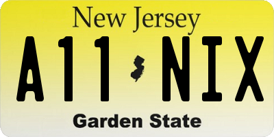NJ license plate A11NIX