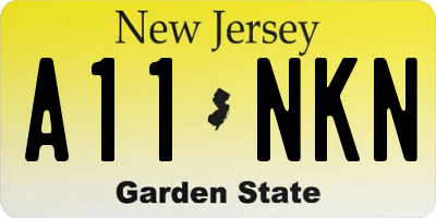 NJ license plate A11NKN