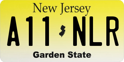 NJ license plate A11NLR