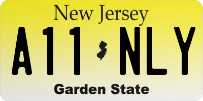 NJ license plate A11NLY