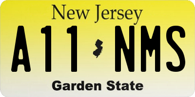 NJ license plate A11NMS