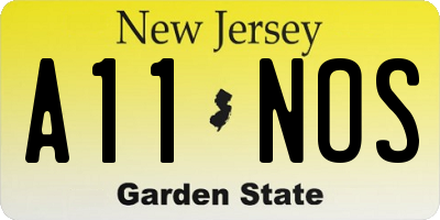 NJ license plate A11NOS
