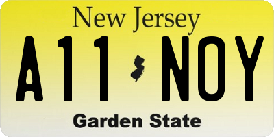 NJ license plate A11NOY