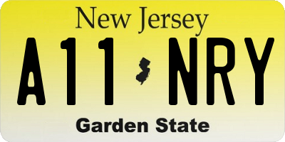NJ license plate A11NRY