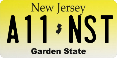 NJ license plate A11NST